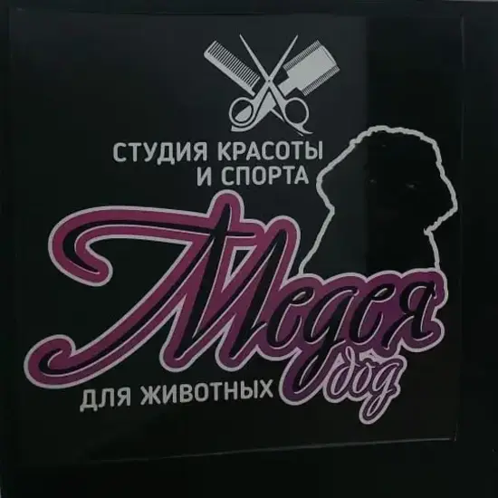 Обслуживание автомобиля